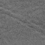 Coastal Gray